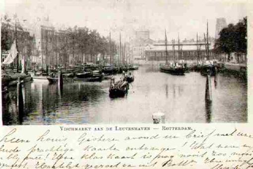 Leuvenhaven Rotterdam