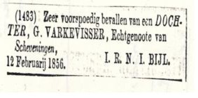 Advertentie geboorte Hendrina Adriana Marianna Bijl